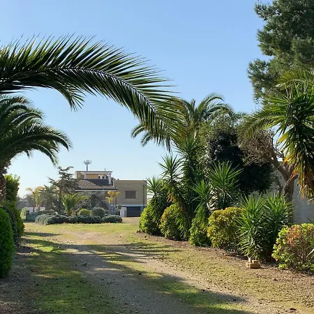 Tubola فيلة